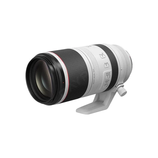 Canon RF100-500mm F4.5-7.1L IS USM 側面スイッチ部・三脚座