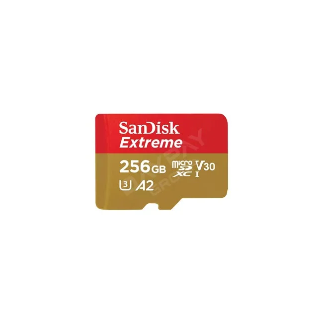 カメラレンタル・撮影機材レンタルならデイペイレンタル｜DAYPAY RENTAL。SanDisk V30 MicroSD Card - 256GBの本体カードの画像