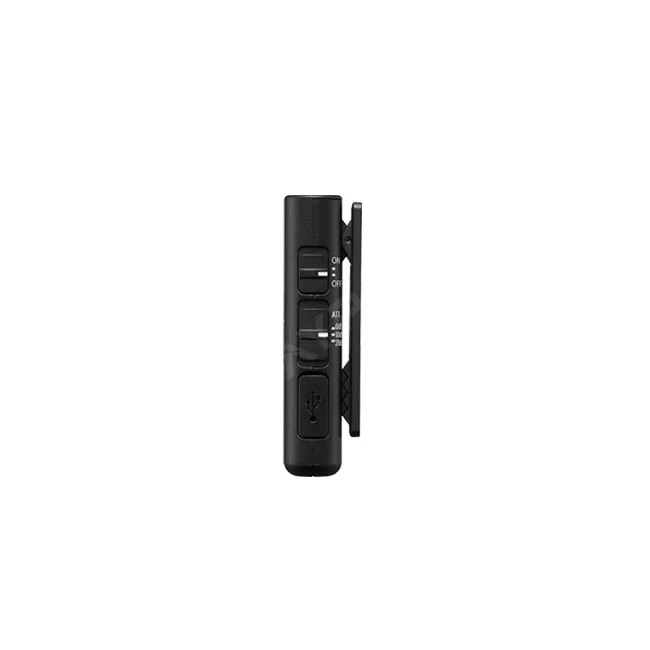 Sony ECM-W2BT 측면 조작부와 단자