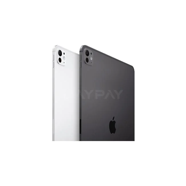 Apple iPad Pro 11 M4 후면 카메라와 애플 로고