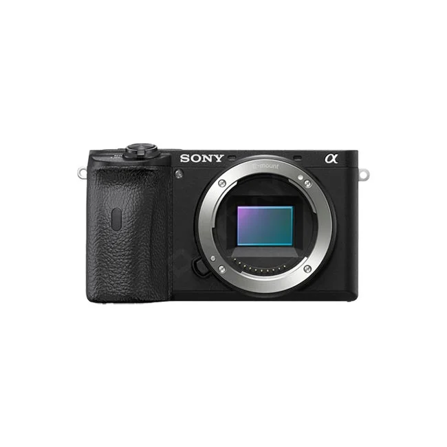 Sony A6600